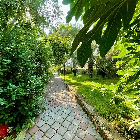 Güneş Boutique - Hotel 3*