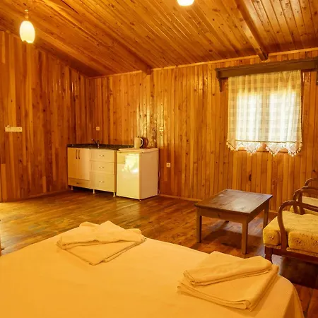 Guenes Boutique - Oludeniz 3* フェティエ