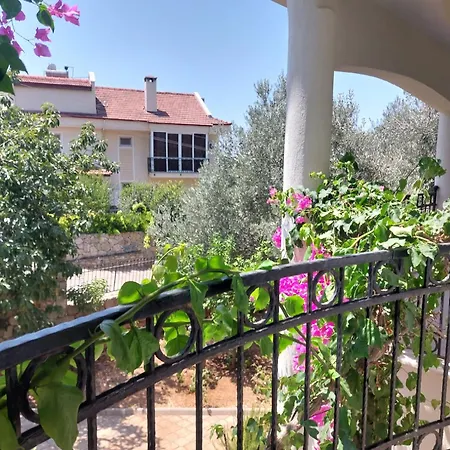 Hotel Güneş Boutique - Ölüdeniz
