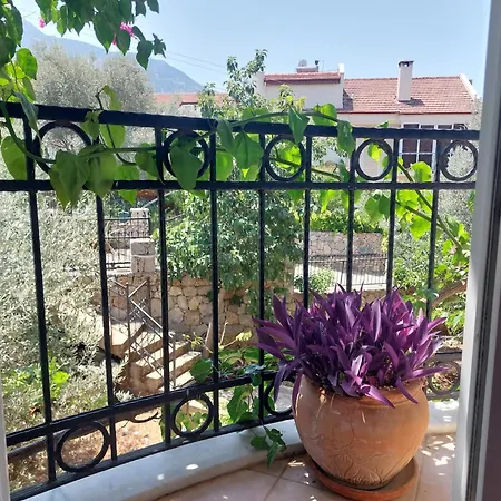 Hotel Güneş Boutique -