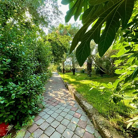 Guenes Boutique - Oludeniz Hotel 3*