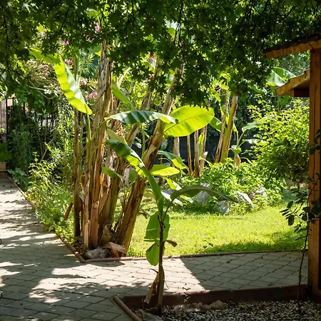 Hotell Guenes Boutique - Oludeniz 3*